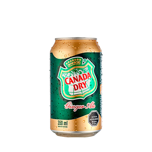 GINGER ALE 350 CC